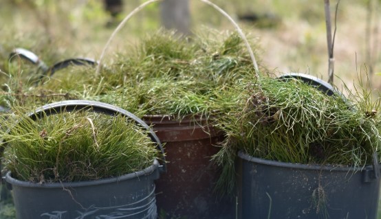 Челябинцам понравился проект благоустройства сквера 40-летия Победы