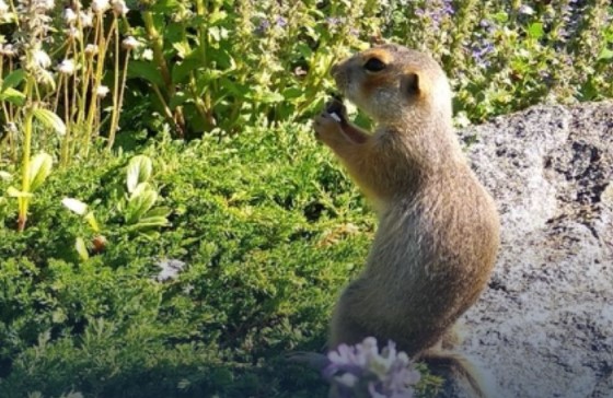 В Челябинске наградили фотографов, воспевших красоту родного города